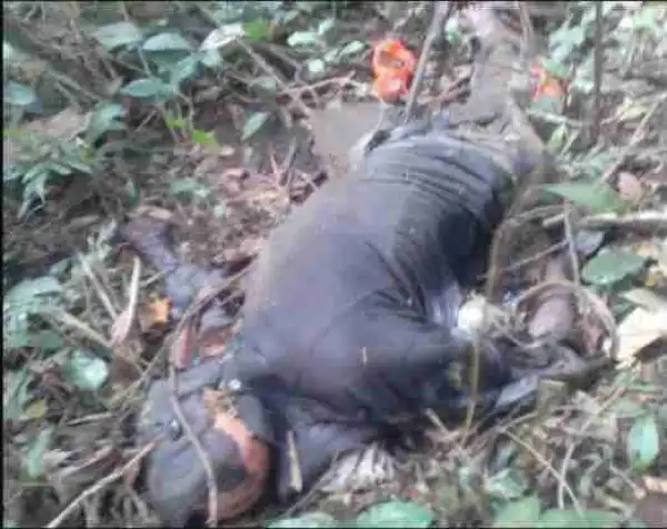 Horror! Hunter Shoots Colleague Dead After He Mistook Him For A Grasscutter (Photo)